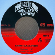 Load image into Gallery viewer, Harri Stojka Express - What A Funky Night